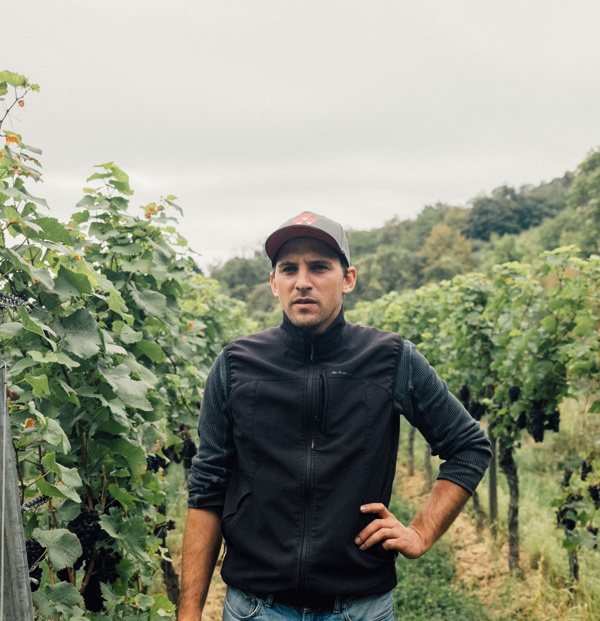 Seckinger Winery